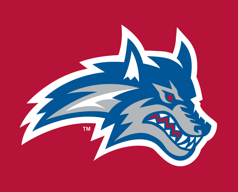 Stony Brook Seawolves 2008-Pres Alternate Logo v2 diy fabric transfers